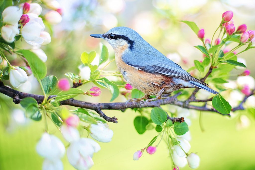 GIVE YOUR FINANCES A SPRING CLEANING
